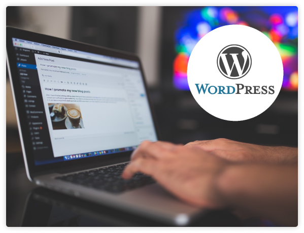 BOUTIQUE WORDPRESS WEB DEVELOPMENT AGENCY